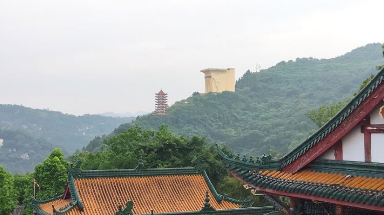 康辉旅游网<锦绣河南-牡丹花开>深圳出发郑州+洛阳 牡丹园+白马寺+登封龙门石窟+嵩阳书院+少林寺+大宋武侠城+清明上河园双飞5天4晚跟团游，纯玩，体验登封素斋