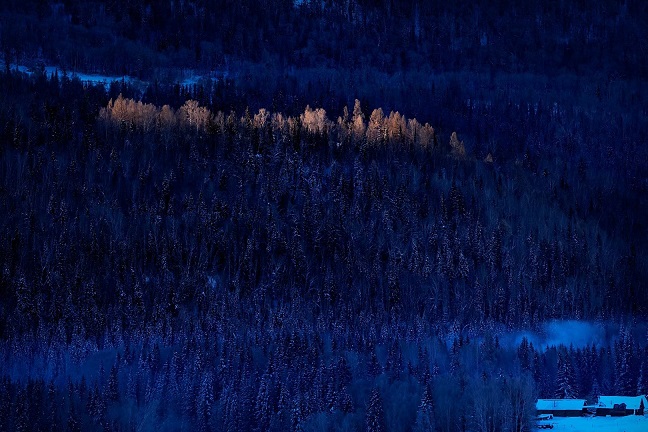 康辉旅游网深圳出发双飞一动伊犁+ 那 拉 提+赛 里 木 湖+ 果 子 沟+喀 纳 斯+禾 木+五 彩 滩+ S 2 1 沙 漠 公 路+海 上 魔 鬼 城8天7晚尊享游