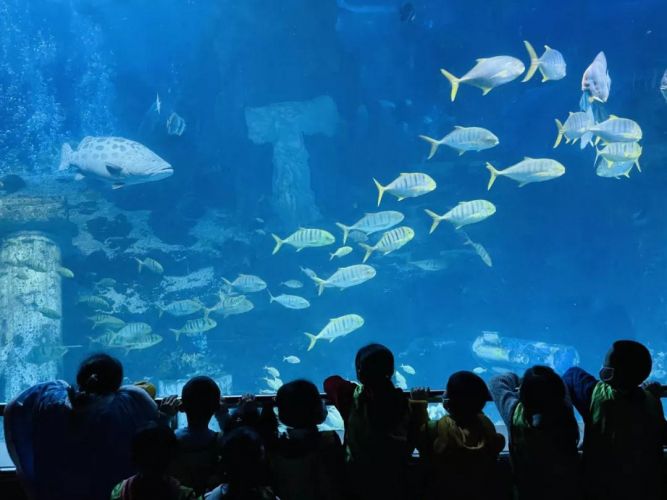 康辉旅游网<夜宿海洋馆>海洋馆奇妙夜｜鱼我共眠（单飞  6岁以上）