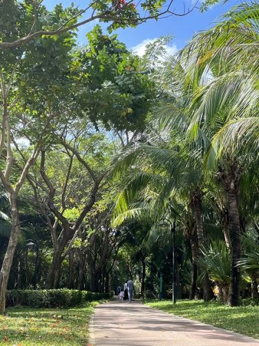 康辉旅游网广州往返井冈山、望仙谷、三清山、鄱阳湖、婺源油菜花、月亮湾、景德镇高铁6日