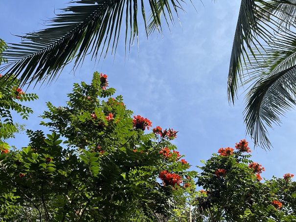 康辉旅游网<精.生态><云天宫独家包场>广州往返广西玉林云天宫+湛江特呈岛三天