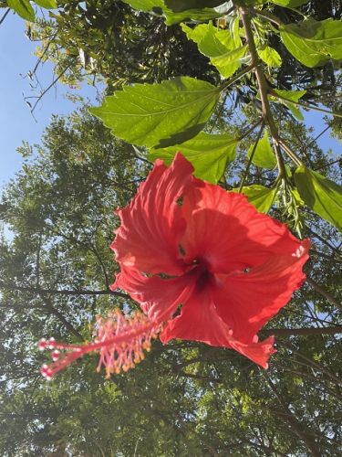 康辉旅游网<奢游青甘>广州往返 祁连卓尔山 敦煌莫高窟 鸣沙山月牙泉 青海湖 纯玩双飞八天