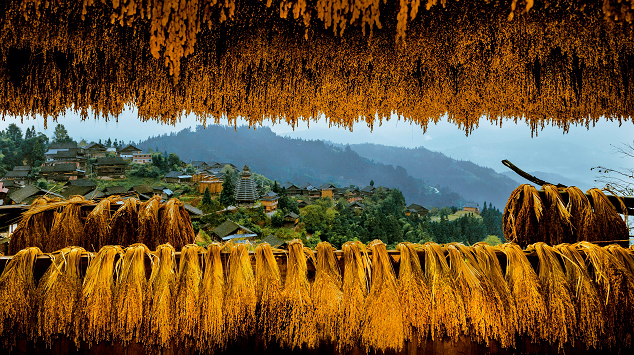 康辉旅游网【梵天净土】贵阳、黄果树瀑布、梵净山、荔波小七孔、西江千户苗寨、镇远古城   双飞6日游