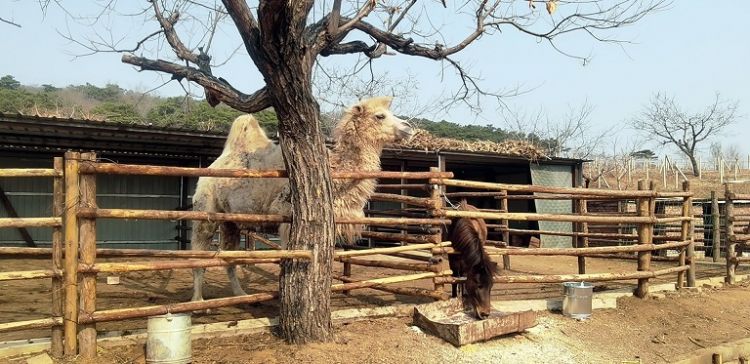 康辉旅游网<深度南疆>深圳出发喀什老城、卡拉库里湖、塔县、中巴公路、盘龙古道、阿克苏、天山神秘大峡谷、克孜尔千佛洞、库车、库尔勒、罗布人村寨、博斯腾湖金沙滩、乌鲁木齐3飞8天7晚跟团游，无自费