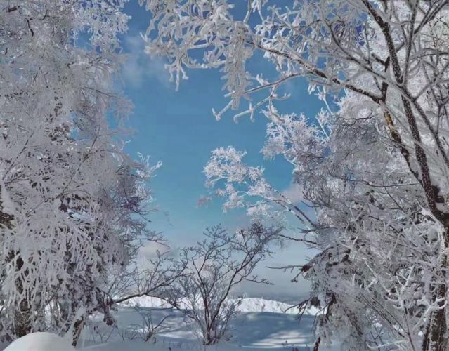 康辉旅游网青岛往返 <慵懒长白山·半自由行>东北长白山北景区、万达度假区滑雪、水乐园、泡温泉、雾凇漂流双飞4日