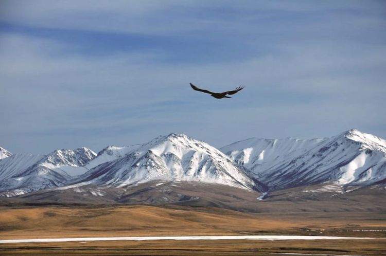 康辉旅游网童趣甘青 敦煌/张掖/嘉峪关长城/莫高窟/茶卡盐湖/青海湖/鸣沙山月牙泉