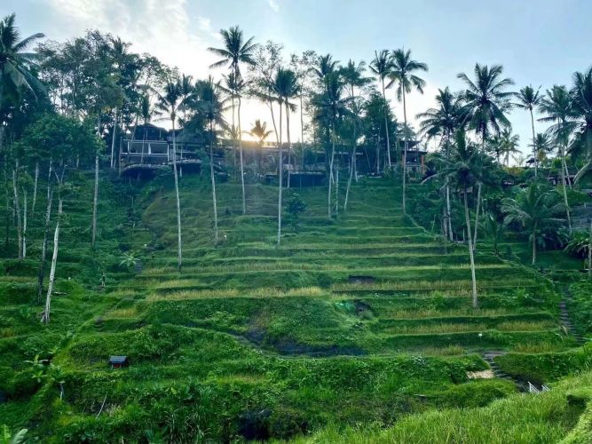 康辉旅游网【探秘蓝梦】昆明起止巴厘岛6晚8天游，纯玩0购物，贝尼达岛+蓝梦岛出海