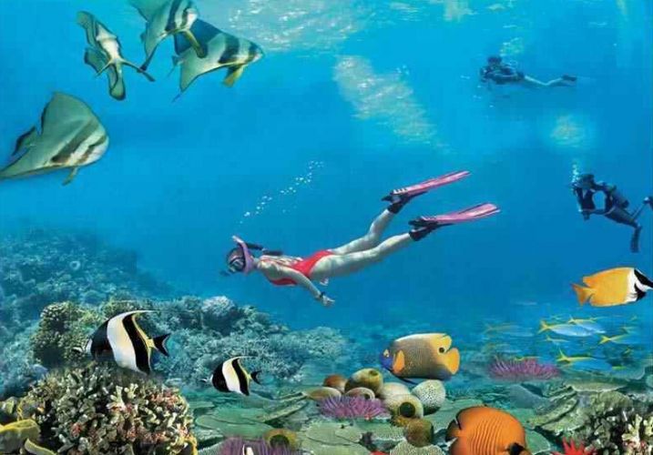 康辉旅游网<超值仙本那>深圳出发沙巴亚庇+斗湖+仙本那跳岛线含马步岛+卡帕莱+丁巴丁巴+马达京双飞6天5天半自助游，含仙本那出海浮潜+打卡长尾沙滩+偶遇大海龟+增加399元升级1晚亚庇沙利雅香格里拉 度假村