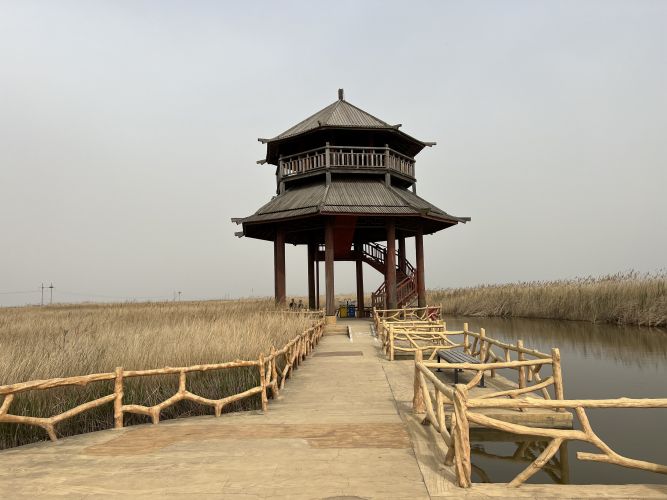 康辉旅游网<大连，山东，轻奢>深圳出发临沂+尼山圣境+尼山孔庙+泰山+岱庙+黑虎泉+大明湖风景区+栈桥+五四广场+烟台山公园+星海广场+俄罗斯风情街，双飞往返7天跟团游