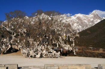 康辉旅游网兰州、夏河、若尔盖、郎木寺、迭部、宕昌、天水、兰州8日游