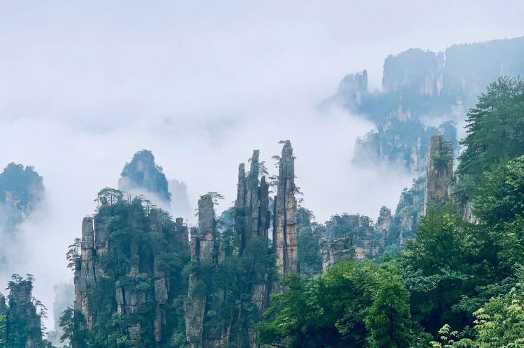 康辉旅游网青岛往返（山湖 直飞张家界）湖南张家界国家森林公园、金鞭溪、袁家界、天子山、宝峰湖天门山、玻璃栈道、芙蓉镇、凤凰古城双飞一动5日