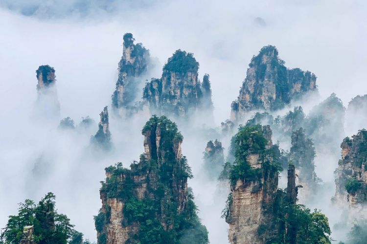 康辉旅游网<国内游   郑州到湖南双卧6/双高5日游>长沙/韶山/张家界森林公园/袁家界/杨家界/黄石寨/金鞭溪/魅力湘西VIP/天门山玻璃栈道/芙蓉镇/凤凰古城/沱江泛舟