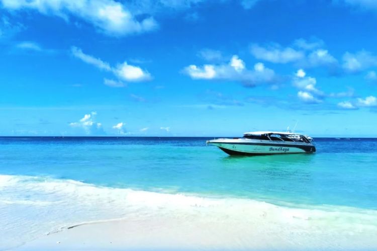 康辉旅游网【爱达邮轮魔都号】青岛-福冈-济州-青岛 5 天 4 晚