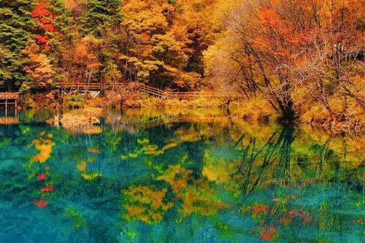 康辉旅游网<纯玩>深圳出发四川成都+熊猫乐园+都江堰+黄龙+九寨沟+自由活动双飞双动5天4晚跟团游，川青高铁2小时直达+行程豪华航空座椅车型