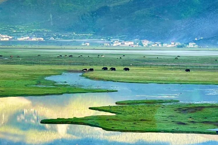 康辉旅游网<粉杏甘青>深圳出发兰州+敦煌+七彩丹霞地质公园+嘉峪关城楼+莫高窟+鸣沙山+大柴旦翡翠湖+西宁+青海湖+塔尔寺双飞8天7晚跟团游，赠送《回到张掖》视觉盛宴