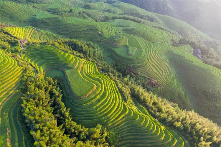 康辉旅游网<暑假亲子>深圳出发桂林象鼻山+东漓古村+古东瀑布+地心探险 +阳朔+兴坪游船+遇龙河双人竹筏漂流+龙脊梯田双动5天4晚跟团游，体验桂花糕ＤＩＹ制作体验