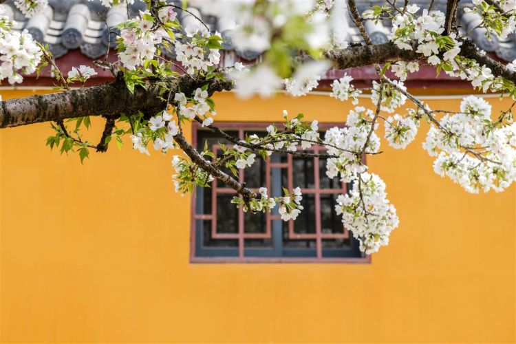 康辉旅游网<日本2-6人小包团  日本6晚7日>郑州起止，东京·镰仓·京都·大阪，2人起订|私家出行|专车专导|赠送WIFI|赠送日本单次个签