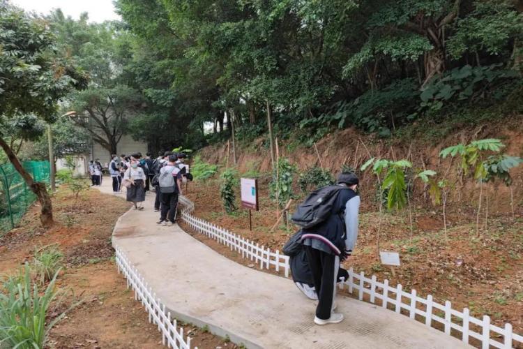 康辉旅游网<周末行>广州番禺"小小李时珍"中草药研学1天游，亲子童乐汇