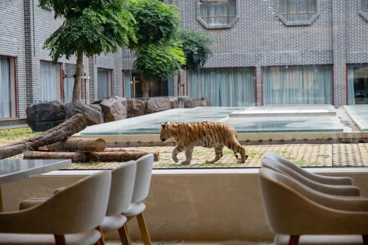 康辉旅游网广州往返广西雄森野生动物世界、象鼻山、北帝山、荔江湾纯玩动车4天，小森历险记