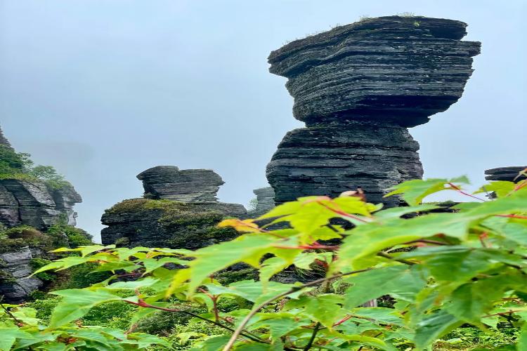 康辉旅游网广州往返贵州黄果树瀑布、小七孔、梵净山、西江千户苗寨、镇远古城动车6天，梵净贵州