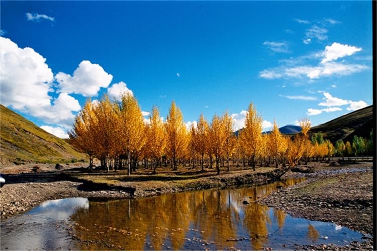 康辉旅游网<经典>直飞稻城 稻城、亚丁双飞4天