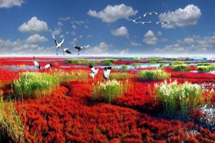 康辉旅游网【经典-伊春森度】广州往返伊春+伊春森度+汤旺河+上甘岭+小兴安岭双飞6天