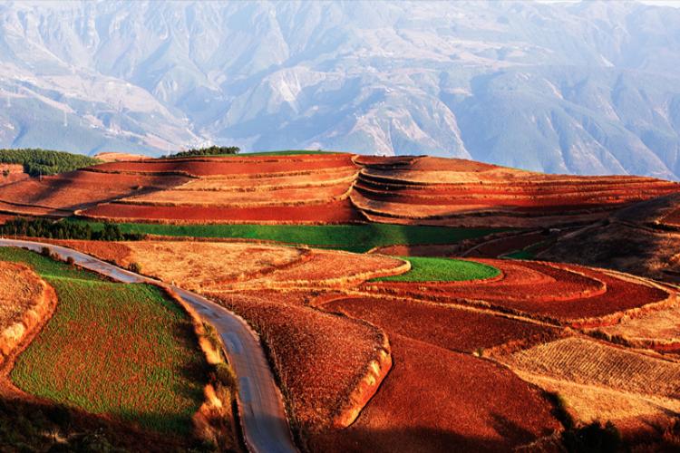 康辉旅游网<七彩云桂>云南九乡、东川红土地、彩色沙林、 珠江源风景区、九龙瀑布群动车五天