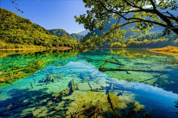 康辉旅游网【经典】环游九寨 广州往返绵阳、九寨沟、黄龙、宽窄巷子、锦里双飞6天