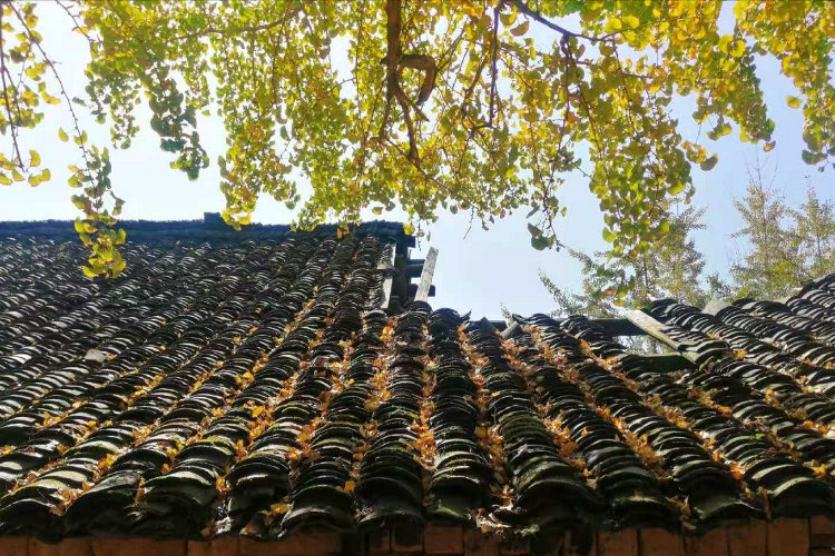 康辉旅游网广州往返桂林海洋乡、黄姚古镇、红岩新村、东漓古村、富里古桥动车4天，东漓秋宴