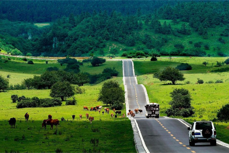 康辉旅游网<经典>重庆阿依河 重庆、武隆天坑三桥、仙女山龚滩古镇、阿依河、洪崖洞纯玩5日游