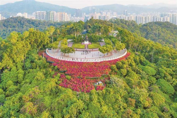 康辉旅游网<广州往返>“花花的世界”深圳莲花山公园簕杜鹃   一街两制 中英街纯玩1天