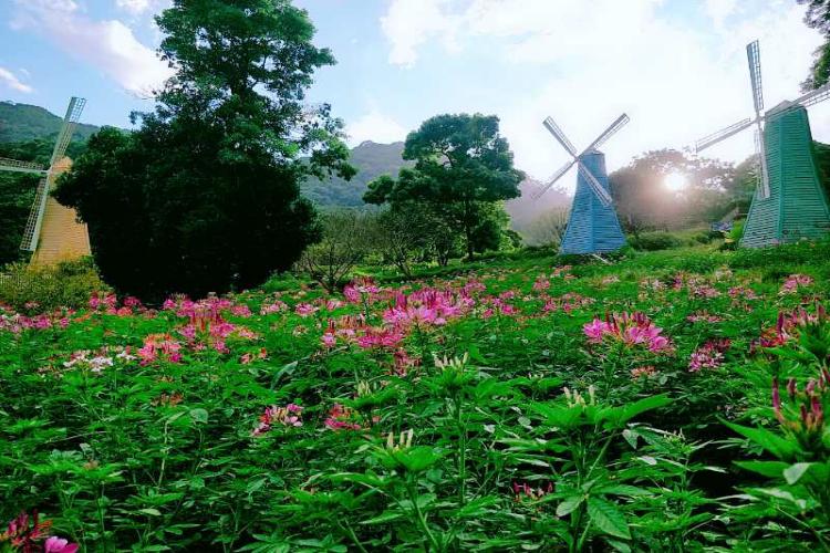 康辉旅游网广州往返增城二龙山风景区+正果老街闲纯玩一天