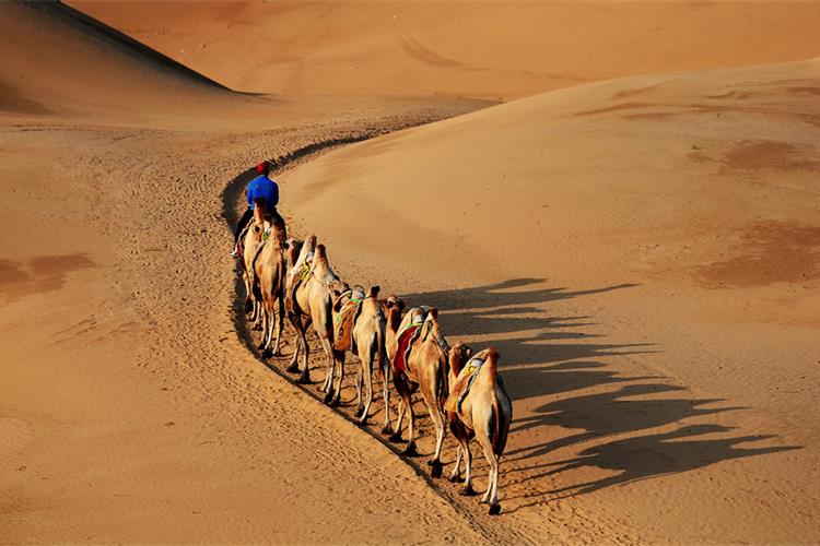 康辉旅游网【晋蒙连线】山西+内蒙古双草原沙漠双飞7天游