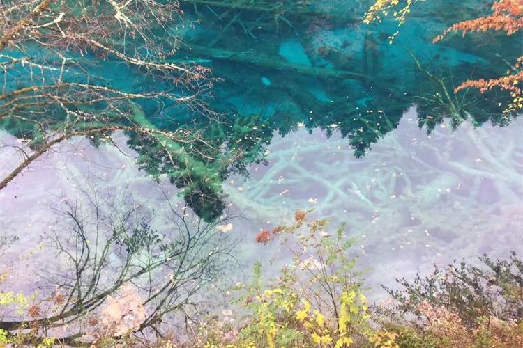 康辉旅游网<特惠>超值九寨 广州往返成都、黄龙、叠溪海子、松潘古城双飞6天