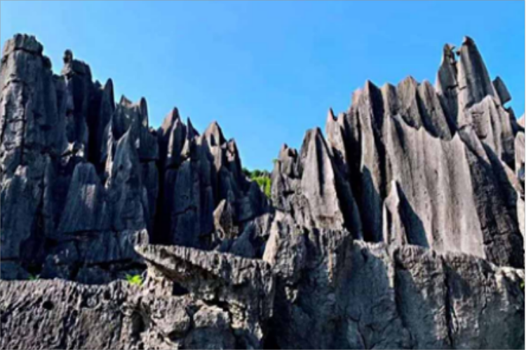 康辉旅游网<富川荔浦桂林>广西富川知青园、神剑石林、古明城、荔浦丰鱼岩、荔江湾纯玩三天