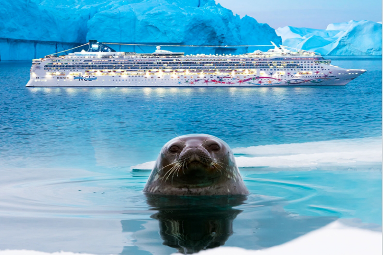 康辉旅游网【巡游南极南美】【诺唯真之星号】南极+阿根廷+智利+乌拉圭19天