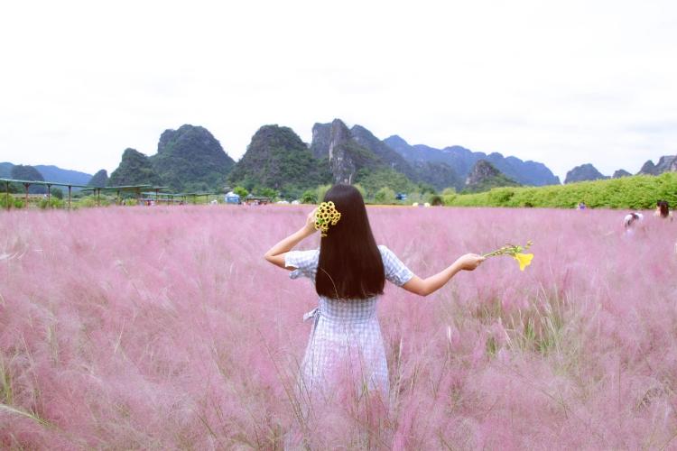 康辉旅游网【荷你乡约】广州往返清远英西峰林<荷花节>赏四季花海、品尝山水豆腐花含餐纯玩1天