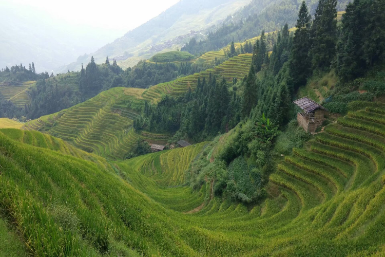 康辉旅游网广州往返广西南山牧场、龙脊梯田、古东瀑布、船游一江四湖、靖江王府双动4天，童趣