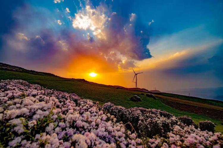 康辉旅游网<经典>广州出发贵州L1凉爽贵州乌蒙大草原+海坪+野鸡坪+玉舍+梅花山双动五天