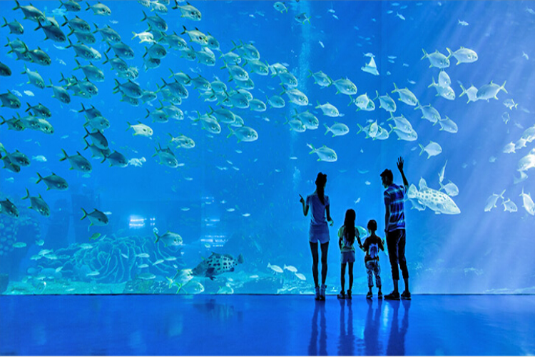 康辉旅游网潮汕出发广州长隆+珠海长隆动车往返3天2晚跟团游<长隆F线>