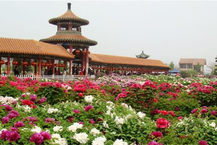 康辉旅游网<经典>珠海往返·万人游河南  挂壁路.老君山.云台山.白马寺 双飞6天