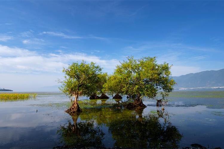 康辉旅游网潮汕出发云南昆明+大理+洱海游艇+丽江+玉龙雪山双飞一动纯玩6天5晚跟团游