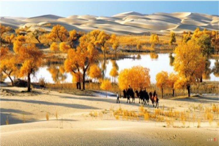 康辉旅游网<双飞天山号>广州出发新疆乌鲁木齐、喀什、轮台胡杨林、吐鲁番轻奢落地专列12天