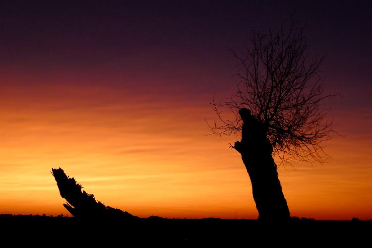 康辉旅游网<经典>佛山往返·内蒙金秋那日斯泰+乌兰哈达火山群.金秋辉腾风车草原 双飞6日