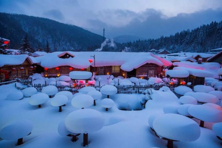 康辉旅游网<爆款东北>广州往返“冰城”哈尔滨、激情亚布力、童话雪乡、“欧式庄园”伏尔加6天