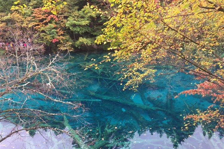 康辉旅游网<必发>广州往返四川成都，七彩川西小团 九寨沟、黄龙、毕棚沟、达古冰川6天