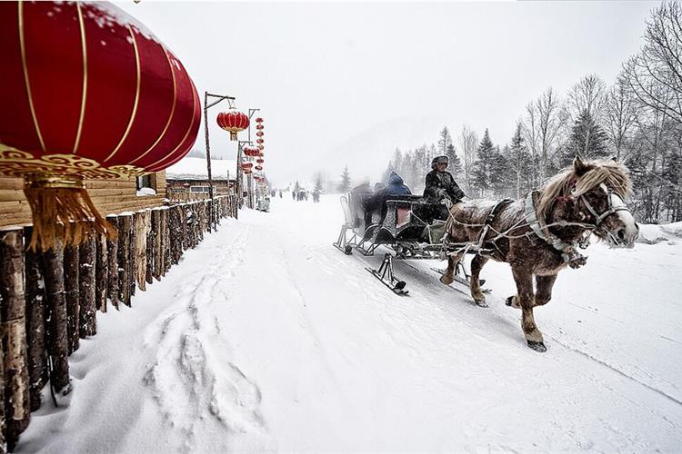 康辉旅游网＜早鸟·冬游福鹿雪国号＞广州出发哈尔滨， 雪乡+镜泊湖+漠河落地软卧专列11天