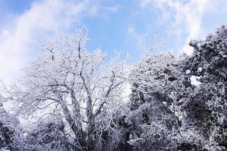 康辉旅游网广州往返广西 纯惠猫儿山 漓江源大峡谷+徒步遇龙河风光+兴安灵渠+荔江湾动车3天