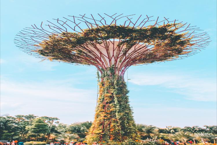 康辉旅游网【自营SD】<抵玩新马>新航SQ-新加坡+马来西亚5天-广州直飞-新入新出