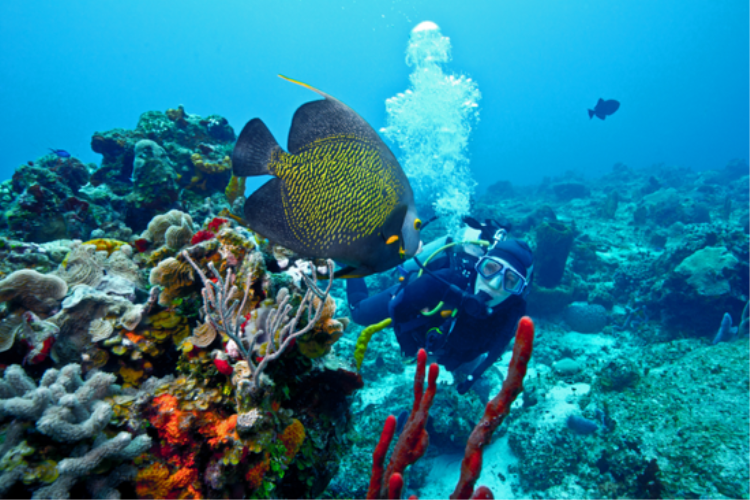 康辉旅游网<自由行>广州南航直飞美娜多自由行 7 天 5 晚